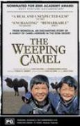 The Weeping Camel